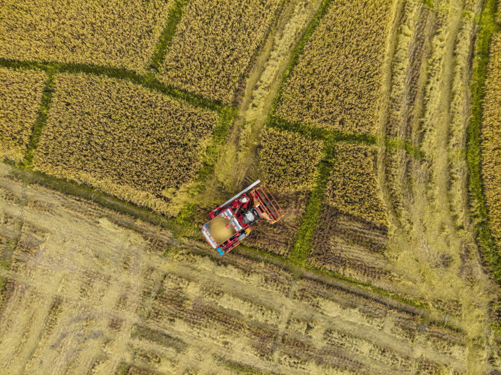 Exportações agrícolas: como o Brasil lidera o mercado global?