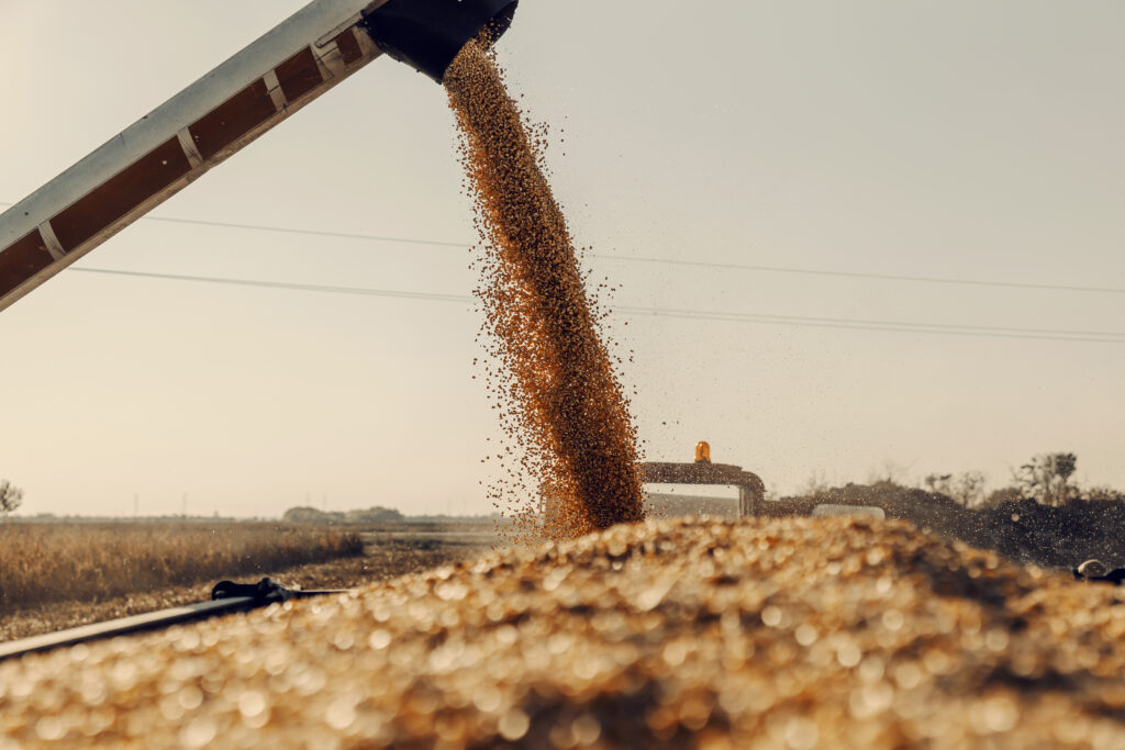 Commodities agrícolas em tempos de recessão: oportunidade ou risco?