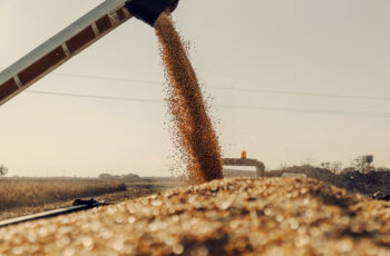 Commodities agrícolas em tempos de recessão: oportunidade ou risco?