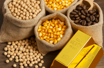 10 termos de commodities que todo investidor deve saber