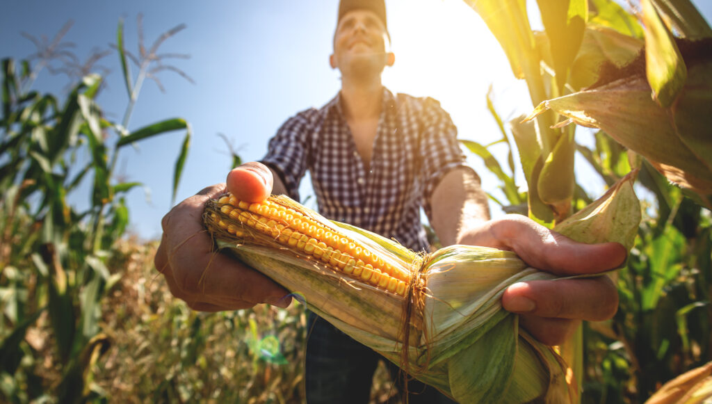 Por que o agro brasileiro assusta investidores estrangeiros?
