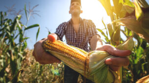 Por que o agro brasileiro assusta investidores estrangeiros?
