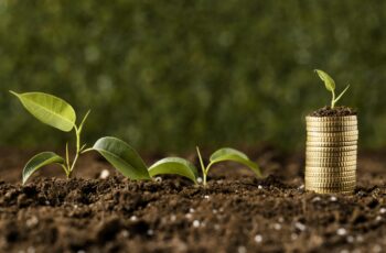 O agro como refúgio em tempos de incerteza