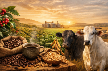 Café, soja e boi: o que esperar para 2026?